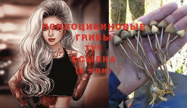 соль курить ск Абаза