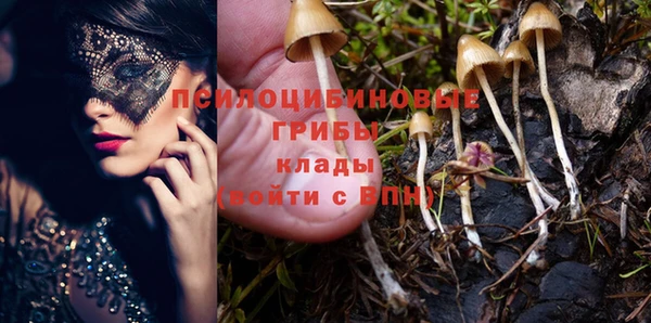 шишки Абдулино