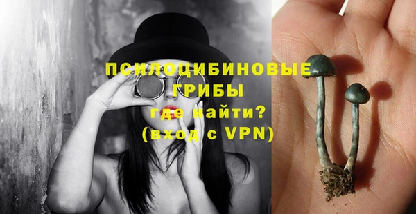 шишки Абдулино